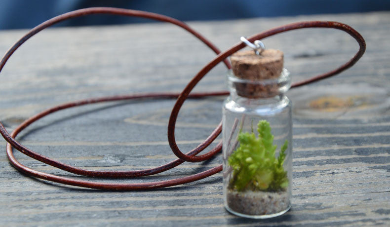 Terrarium sales necklace supplies