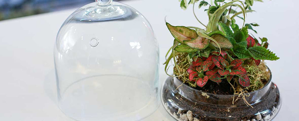 3 Spring Closed Terrarium Ideas