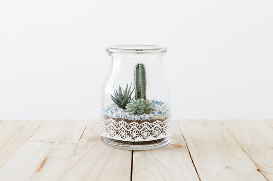 10 Vase Filler Ideas for Winter