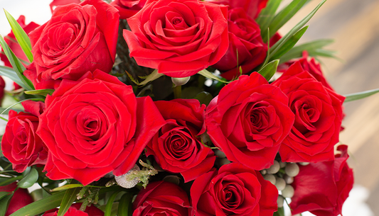 A close up view of a bouquet of red roses