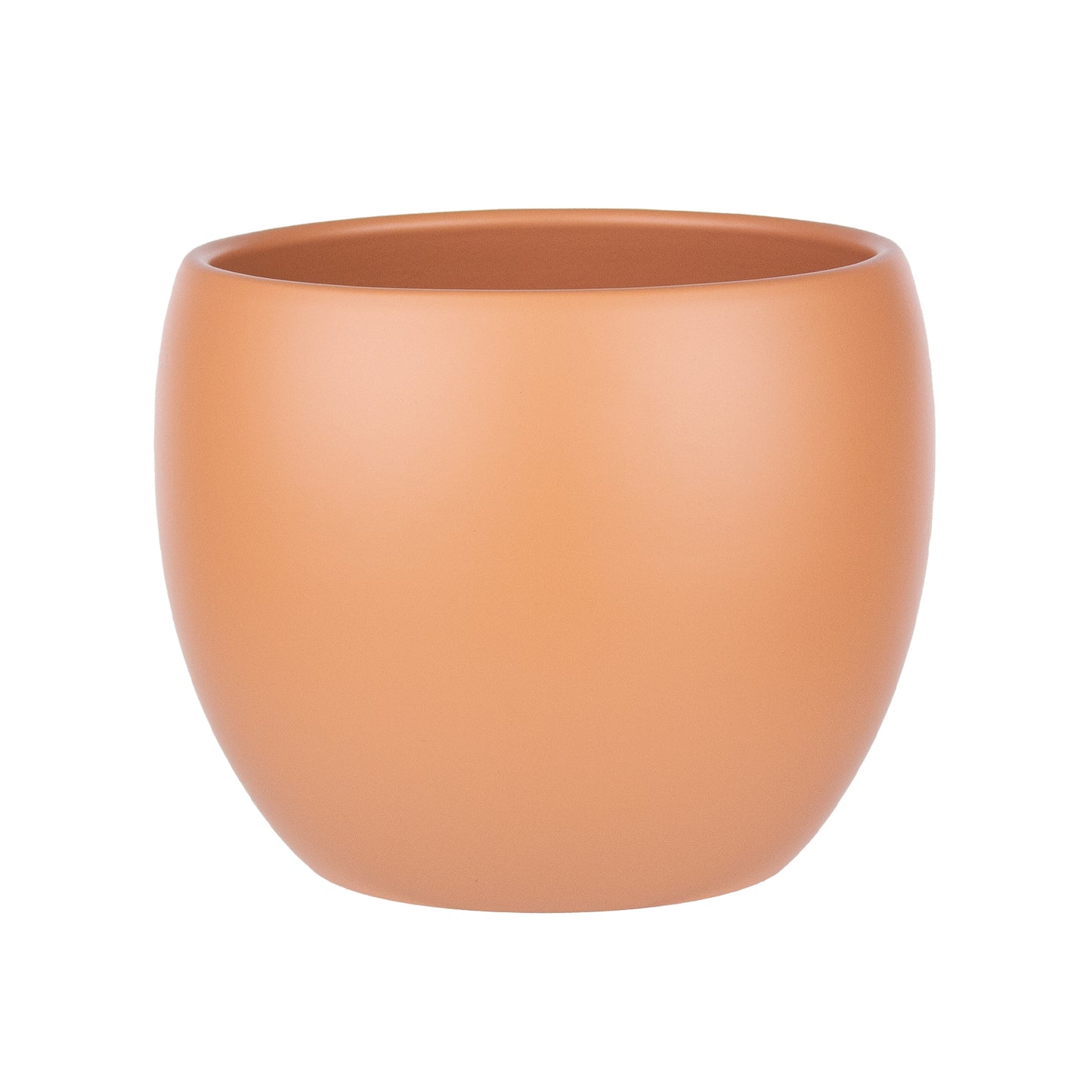 Phoenix Planter -- Cabana Collection