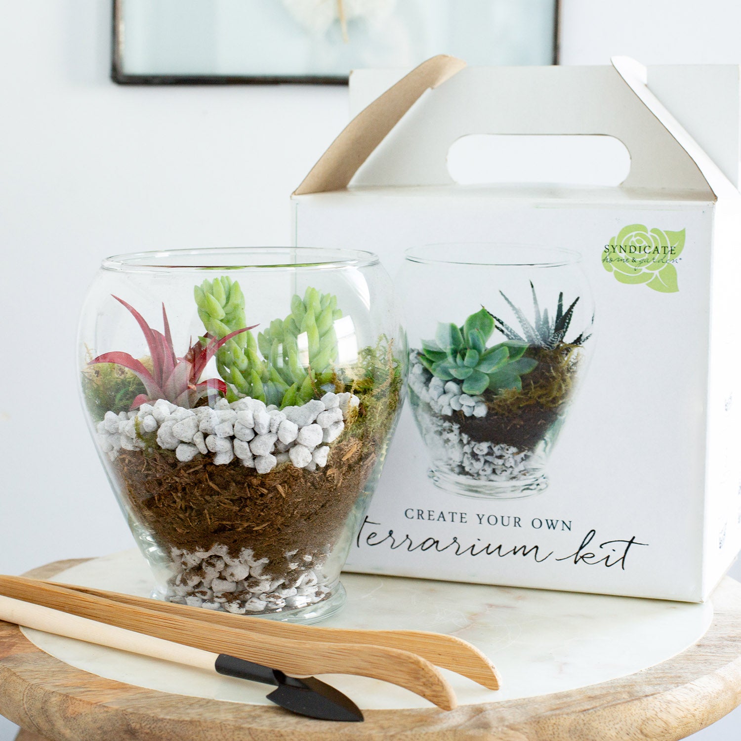 Kit terrarium DIY personalizzato con design