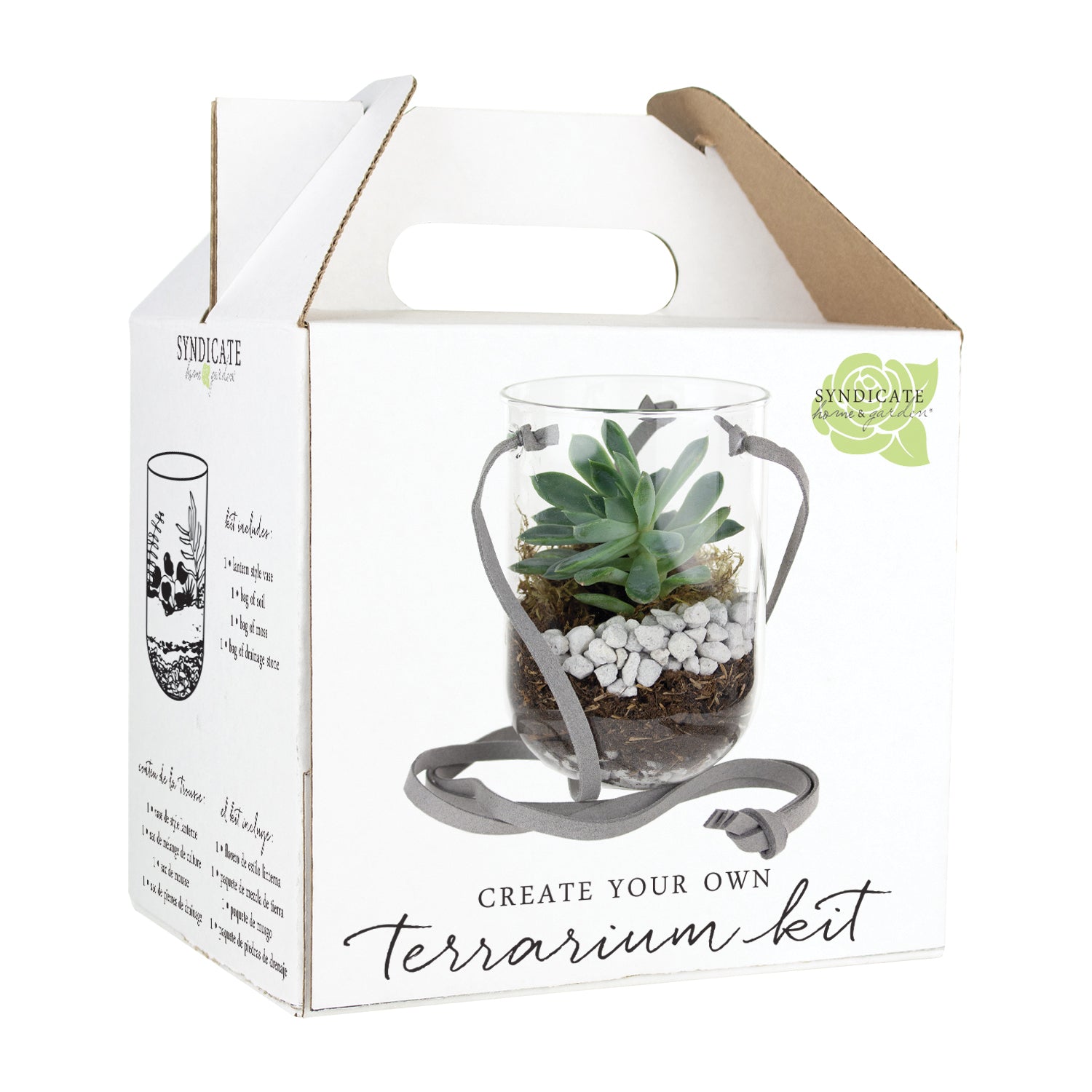 Capsule Terrarium Kit 46 And Spruce Wholesale Supply House 0768