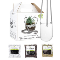 Capsule Terrarium Kit