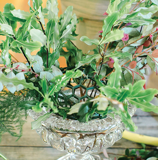 Holly Chapple Abelia compote/bowl vase top